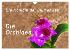 Die Königin der Blumenwelt, die Orchidee (Wandkalender 2024 DIN A4 quer), CALVENDO Monatskalender