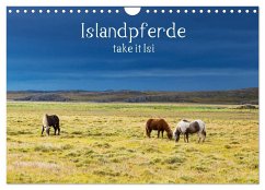 Islandpferde take it Isi (Wandkalender 2024 DIN A4 quer), CALVENDO Monatskalender