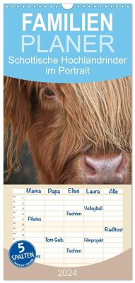 Familienplaner 2024 - Schottische Hochlandrinder - Highland Cattle im Portrait mit 5 Spalten (Wandkalender, 21 x 45 cm) CALVENDO