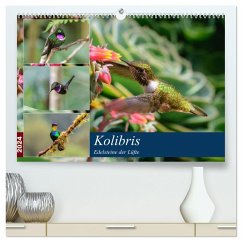 Kolibris - Edelsteine der Lüfte (hochwertiger Premium Wandkalender 2024 DIN A2 quer), Kunstdruck in Hochglanz
