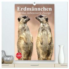 Erdmännchen - Afrikas liebenswerte Zwerge (hochwertiger Premium Wandkalender 2024 DIN A2 hoch), Kunstdruck in Hochglanz