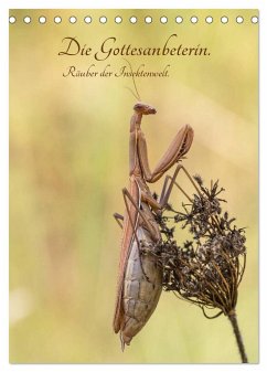 Die Gottesanbeterin. Räuber der Insektenwelt. (Tischkalender 2024 DIN A5 hoch), CALVENDO Monatskalender