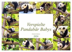 Pandabär Babys (Wandkalender 2024 DIN A3 quer), CALVENDO Monatskalender - Gatterwe, Simone