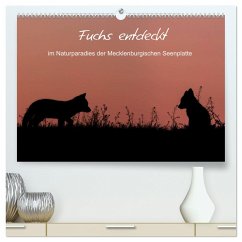 Fuchs entdeckt - im Naturparadies der Mecklenburgischen Seenplatte (hochwertiger Premium Wandkalender 2024 DIN A2 quer), Kunstdruck in Hochglanz