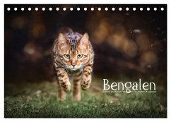 Bengalen Outdoor und Action (Tischkalender 2024 DIN A5 quer), CALVENDO Monatskalender
