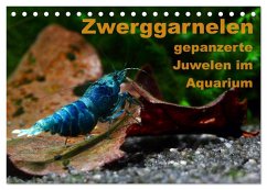 Zwerggarnelen - gepanzerte Juwelen im Aquarium (Tischkalender 2024 DIN A5 quer), CALVENDO Monatskalender