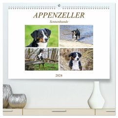 Appenzeller Sennenhunde (hochwertiger Premium Wandkalender 2024 DIN A2 quer), Kunstdruck in Hochglanz