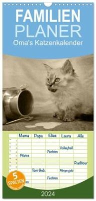 Familienplaner 2024 - Oma's Katzenkalender 2024 mit 5 Spalten (Wandkalender, 21 x 45 cm) CALVENDO
