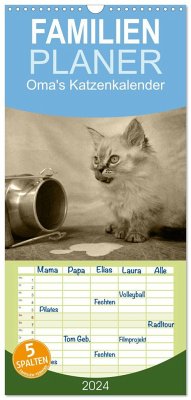 Familienplaner 2024 - Oma's Katzenkalender 2024 mit 5 Spalten (Wandkalender, 21 x 45 cm) CALVENDO - Säume, Sylvia