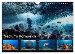 Neptun's Königreich (Wandkalender 2024 DIN A4 quer), CALVENDO Monatskalender - & Tilo Kühnast - naturepics, Yvonne