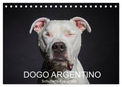 DOGO ARGENTINO (Tischkalender 2024 DIN A5 quer), CALVENDO Monatskalender - Schuberts-Fotografie