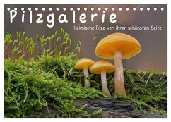 Pilzgalerie - Heimische Pilze von ihrer schönsten Seite (Tischkalender 2024 DIN A5 quer), CALVENDO Monatskalender - Wurster, Beate