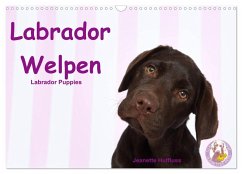 Labrador Welpen - Labrador Puppies (Wandkalender 2024 DIN A3 quer), CALVENDO Monatskalender