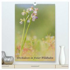 Orchideen in freier Wildbahn (hochwertiger Premium Wandkalender 2024 DIN A2 hoch), Kunstdruck in Hochglanz