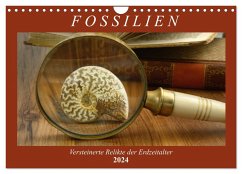 Fossilien - Versteinerte Relikte der Erdzeitalter (Wandkalender 2024 DIN A4 quer), CALVENDO Monatskalender