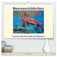 Meeresschildkröten ¿ Faszinierende Geschöpfe der Weltmeere (hochwertiger Premium Wandkalender 2024 DIN A2 quer), Kunstdruck in Hochglanz