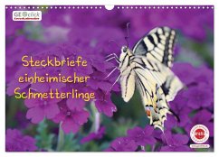 GEOclick Lernkalender: Steckbriefe einheimischer Schmetterlinge (Wandkalender 2024 DIN A3 quer), CALVENDO Monatskalender