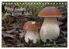 Pilze finden - das ganze Jahr! (Tischkalender 2024 DIN A5 quer), CALVENDO Monatskalender