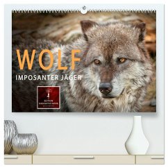 Wolf - Imposanter Jäger (hochwertiger Premium Wandkalender 2024 DIN A2 quer), Kunstdruck in Hochglanz