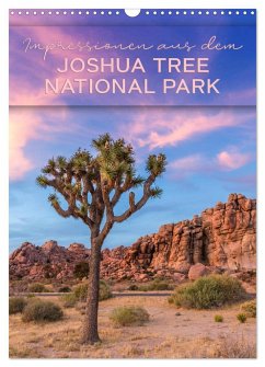 Impressionen aus dem JOSHUA TREE NATIONAL PARK (Wandkalender 2024 DIN A3 hoch), CALVENDO Monatskalender - Viola, Melanie