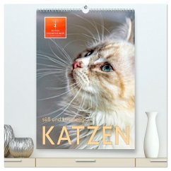 Katzen - süß und kuschelig (hochwertiger Premium Wandkalender 2024 DIN A2 hoch), Kunstdruck in Hochglanz