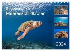 Begegnung mit Meeresschildkröten (Wandkalender 2024 DIN A3 quer), CALVENDO Monatskalender