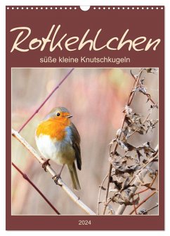 Rotkehlchen, süße kleine Knutschkugeln (Wandkalender 2024 DIN A3 hoch), CALVENDO Monatskalender