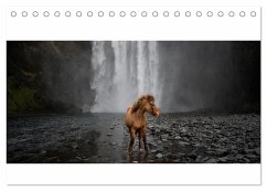 Islandpferde Kalender - Pferde von der Insel aus Feuer und Eis (Tischkalender 2024 DIN A5 quer), CALVENDO Monatskalender - Voth, Alexandra