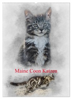 Maine Coon Katzen (Wandkalender 2024 DIN A2 hoch), CALVENDO Monatskalender