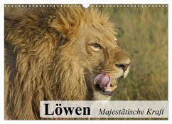 Löwen. Majestätische Kraft (Wandkalender 2024 DIN A3 quer), CALVENDO Monatskalender