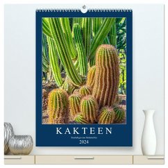 Kakteen - Stacheliges aus Südamerika (hochwertiger Premium Wandkalender 2024 DIN A2 hoch), Kunstdruck in Hochglanz - Meyer, Dieter