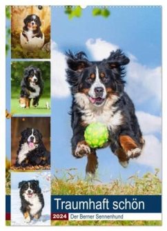 Traumhaft schön - Der Berner Sennenhund (Wandkalender 2024 DIN A2 hoch), CALVENDO Monatskalender