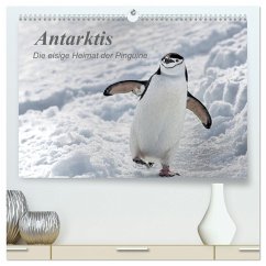Antarktis, die eisige Heimat der Pinguine (hochwertiger Premium Wandkalender 2024 DIN A2 quer), Kunstdruck in Hochglanz