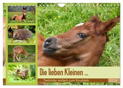 Die lieben Kleinen ... Tierkinder einfach zum Knuddeln (Wandkalender 2024 DIN A4 quer), CALVENDO Monatskalender - Gugigei