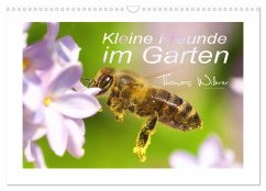 Kleine Freunde im Garten (Wandkalender 2024 DIN A3 quer), CALVENDO Monatskalender - Willerer, Thomas