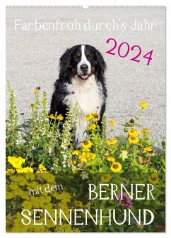 Farbenfroh durch's Jahr mit dem Berner Sennenhund (Wandkalender 2024 DIN A2 hoch), CALVENDO Monatskalender