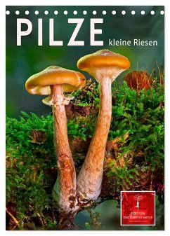 Pilze - kleine Riesen (Tischkalender 2024 DIN A5 hoch), CALVENDO Monatskalender - Roder, Peter