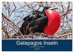 Tierwelt auf Galapagos (Tischkalender 2024 DIN A5 quer), CALVENDO Monatskalender