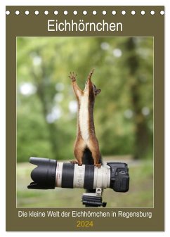 Die kleine Welt der Eichhörnchen in Regensburg (Tischkalender 2024 DIN A5 hoch), CALVENDO Monatskalender - Cerny, Birgit