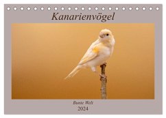 Kanarienvögel - Bunte Welt (Tischkalender 2024 DIN A5 quer), CALVENDO Monatskalender