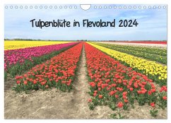 Tulpenblüte in Flevoland 2024 (Wandkalender 2024 DIN A4 quer), CALVENDO Monatskalender