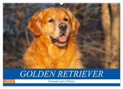 Golden Retriever - Freunde auf 4 Pfoten (Wandkalender 2024 DIN A2 quer), CALVENDO Monatskalender