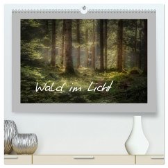 Wald im Licht (hochwertiger Premium Wandkalender 2024 DIN A2 quer), Kunstdruck in Hochglanz