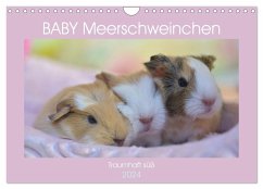 BABY Meerschweinchen Traumhaft süß (Wandkalender 2024 DIN A4 quer), CALVENDO Monatskalender