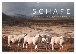 Schafe - Raues Wetter, weiche Wolle (Wandkalender 2024 DIN A2 quer), CALVENDO Monatskalender - Jackson, Lain