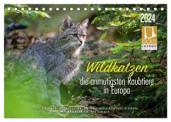 Wildkatzen - die anmutigsten Raubiere in Europa. (Tischkalender 2024 DIN A5 quer), CALVENDO Monatskalender