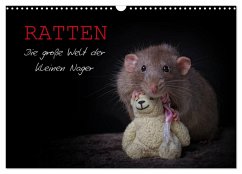 Ratten. Die große Welt der kleinen Nager (Wandkalender 2024 DIN A3 quer), CALVENDO Monatskalender