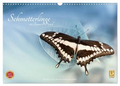 Schmetterlinge - ein Traum in Pastell (Wandkalender 2024 DIN A3 quer), CALVENDO Monatskalender