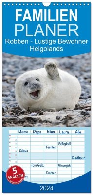 Familienplaner 2024 - Robben - Lustige Bewohner Helgolands mit 5 Spalten (Wandkalender, 21 x 45 cm) CALVENDO