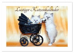 Lustiger Katzenkalender (Wandkalender 2024 DIN A2 quer), CALVENDO Monatskalender